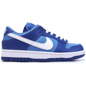 Nike Dunk Low Blue Tones